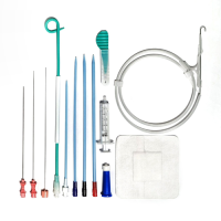 percutaneous_nephrotomy_318381463